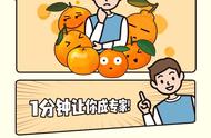 橘子的种类名称和图画（橘子品种大全及名称简笔画）