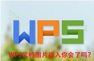 wps如何完整插入照片（wps怎么编辑插入很多图片）