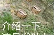 吃鸡怎么设置小屏幕（吃鸡画面设置怎么调）