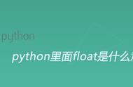 python中float什么意思（在python中flag是什么）