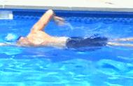自由泳6次打腿图解（1000米自由泳正常速度）