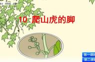 爬山虎课文中的30个优美词语（爬山虎课文中形象生动的句子）