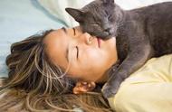 猫为什么喜欢和人睡觉（猫为什么喜欢上人睡觉）