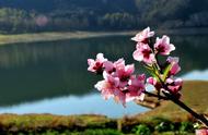 山不在高有仙则名全文全译（山不在高有仙则名水不在深全文）