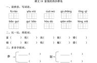 参多音字组词语有哪些（参多音字组词语有哪些词语）