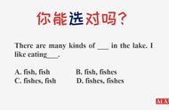 fish的复数单词怎么写（fish的复数形式怎么写）