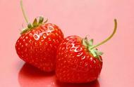 如何零基础在家种草莓（怎么在家里种草莓教程）