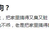 怎样通过遛狗找女朋友（和女生一起遛狗要找啥话题）