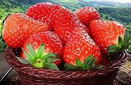 家庭草莓最好的种植方法（草莓最简单的种植方法）