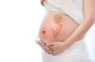 孕妇初期能不能吃包菜（怀孕初期包菜可以吃吗）