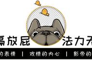 法斗幼犬1个月怎么喂养（一个月法斗幼犬怎么喂养）