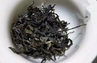 古树茶属于红茶还是绿茶（中国十大红茶有哪些品种）