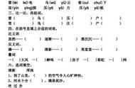 什么的鸟儿填合适词语（什么的鸟儿填合适的词一年级）