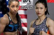 ufc 期数是怎么排的（ufc各期时间表）