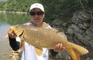 夏天钓鲫鱼鲤鱼怎么钓（夏天鲤鱼鲫鱼怎么钓效果最好）