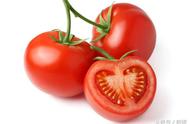 番茄是蔬菜中的水果吗（番茄既是水果又是蔬菜吗）