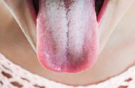 舌头有哪些叫法（舌头好听的叫法）