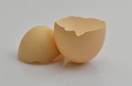 鸡蛋壳的用处有哪些（鸡蛋壳做肥料正确做法）