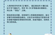 怎么判断智齿需不需要拔图（怎么判断智齿有没有必要拔）