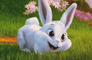 兔子耳朵能分辨公母图片（兔子公母怎么分辨图片耳朵颜色）