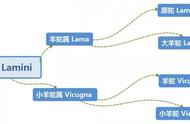 羊驼老吐口水怎么预防（羊驼什么情况下会吐口水）