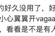 2022哇嘎vagaa还能使用吗（哇嘎vagaa旧版本）