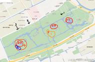 上海顾村公园高清版大地图（上海顾村公园景点介绍）