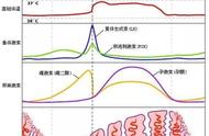 性激素6项有必要查吗