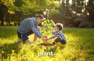 plant和grow用法有什么区别（grow和growup的区别用法）