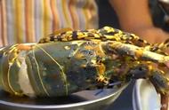 一斤的澳洲龙虾怎么做（澳洲龙虾做法图片窍门）