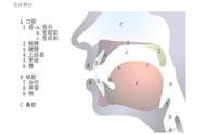 科学用嗓与发声技巧（科学发声方法对嗓音的好处）