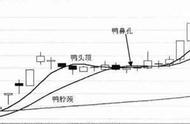 老鸭头形态及操作图解（老鸭头15种形态图解）