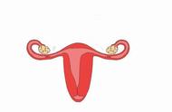 小产后多久能做卵巢保养（坐月子期间可以保养卵巢吗）