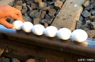 为什么火车上能不能带鸡蛋（火车可以携带生鸡蛋吗）