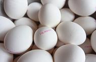 鸽子蛋的营养价值及禁忌人群（鸽子蛋的营养价值表格）