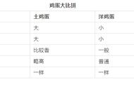 怎样分辨真正土鸡蛋（怎么鉴别真正的土鸡蛋图片）