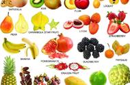 100种常见水果图解（100种水果种类大全）