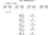 植物靠什么来传播种子二年级（植物怎样传播种子二年级上册）