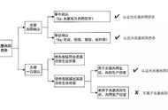 借条怎么写有法律效力模板图片（借条模板法律效力正规）