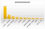 客户名单第3集（客户名单完整版在线播放）