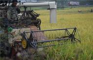 水稻收割机一年能收割几个月（1000亩水稻需要几台收割机）