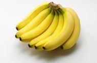 香蕉皮直接埋花盆（香蕉皮生根最快的方法）