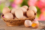 鸽子蛋与鸡蛋谁营养价值高（1个鸽子蛋相当于几个鸡蛋）