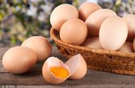 鸽子蛋和鹌鹑蛋相比哪个营养最好（鹌鹑蛋与鸽子蛋的哪个营养价值好）