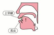 前后鼻音的示意图（前后鼻音特殊规律）