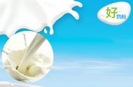 儿童奶粉中的胆碱起什么作用