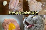 猫吃蛋黄加鸡胸肉怎么做（幼猫吃的蛋黄鸡胸肉怎么做）