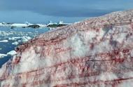 南极红色西瓜雪有什么危险（南极血雪现象出现的原因和影响）