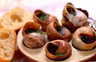蜗牛肉的营养价值及功效（蜗牛的营养价值与功效）