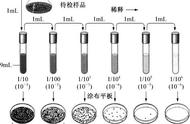 大肠菌群阴性是合格吗（大肠菌群标准值是多少）